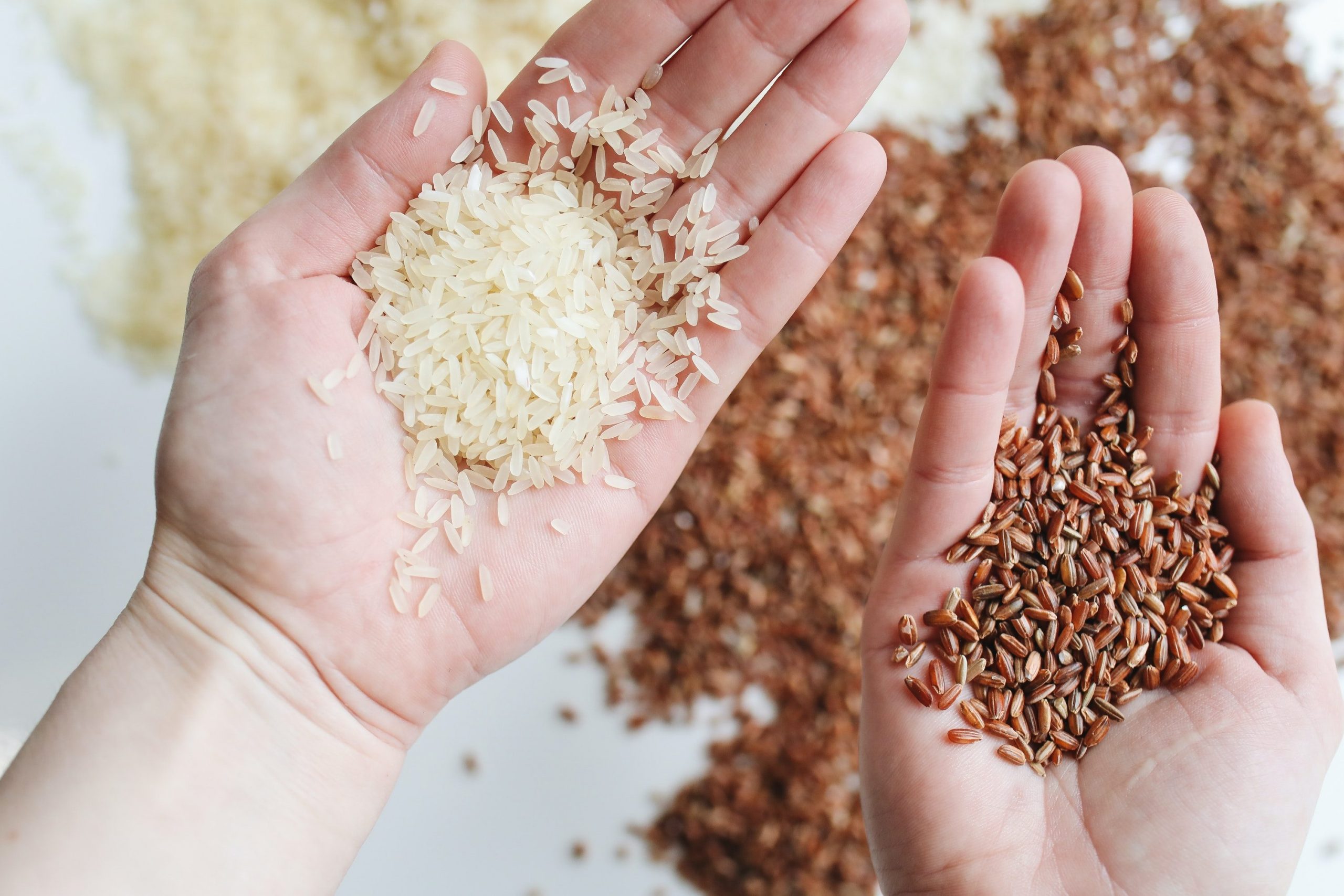Weißer und brauner Reis sind nicht für Low-Carb und Keto geeignet