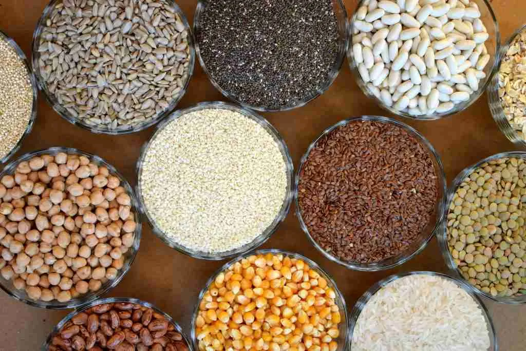 Grains are foods high in lectins