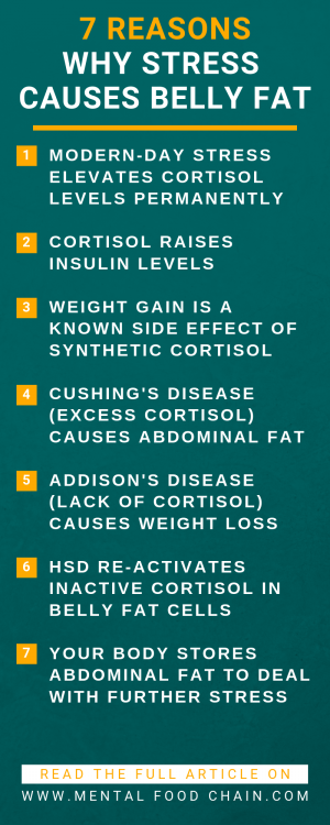 An infographic list of seven reasons why chronic stress causes weight and a cortisol belly.